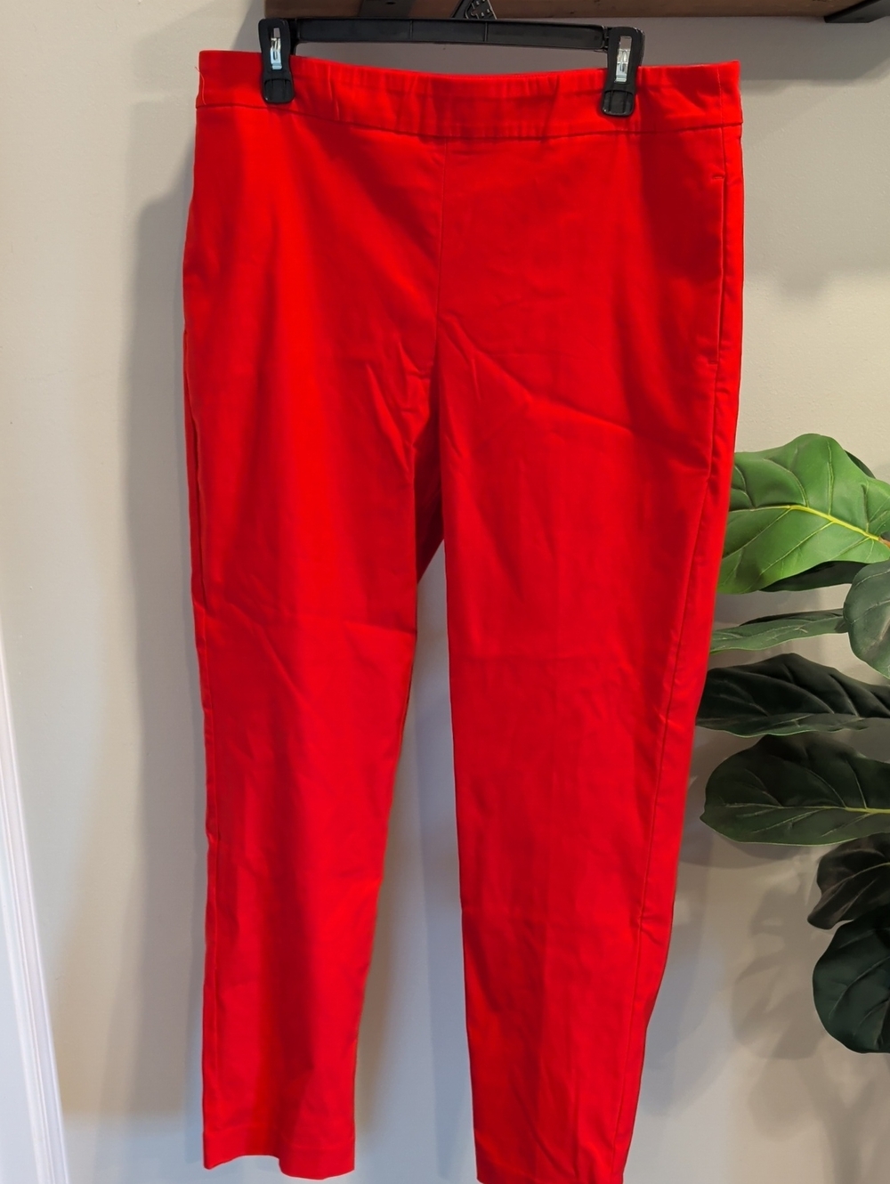 crown & ivy Bright Red Ponte Skinny Pants